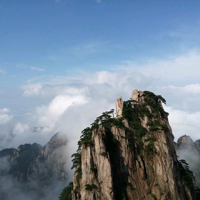 刘强吖