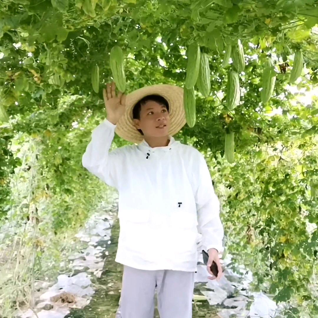 广西小表哥