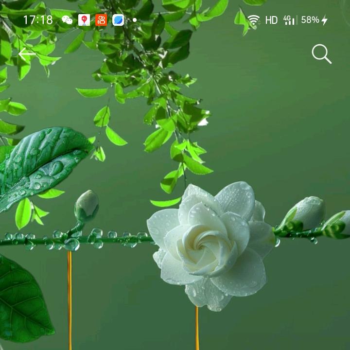 关芳