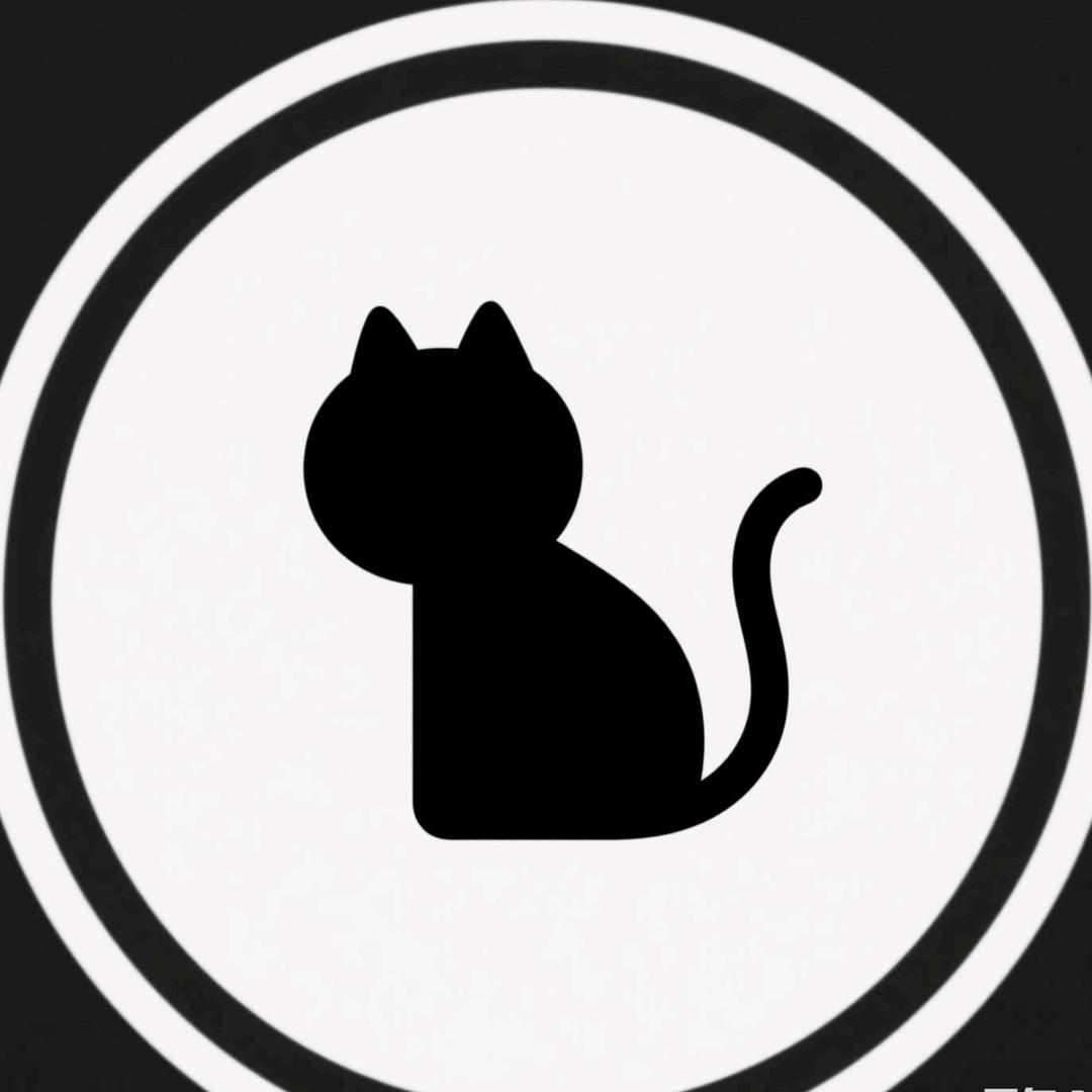 小先锋