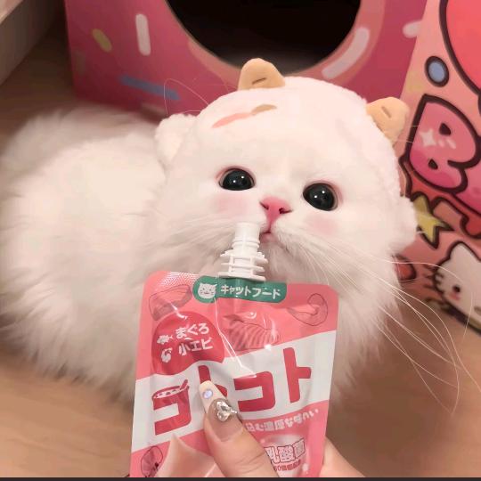 🌷恋冬🌷