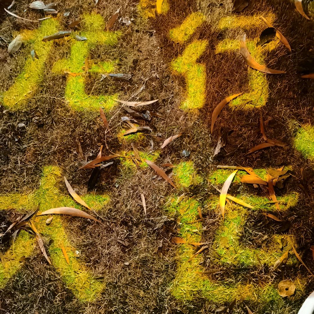 二 公 子