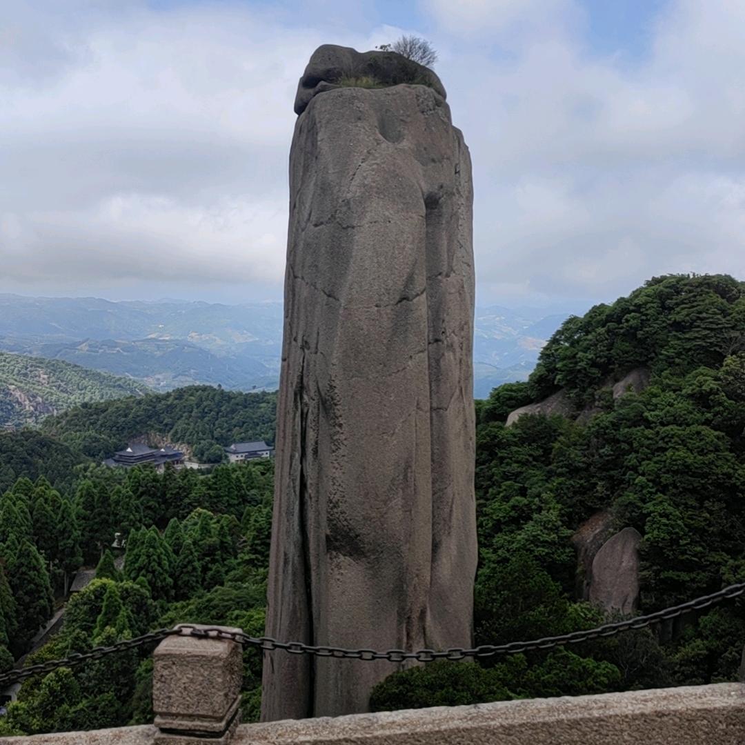 有桃有李
