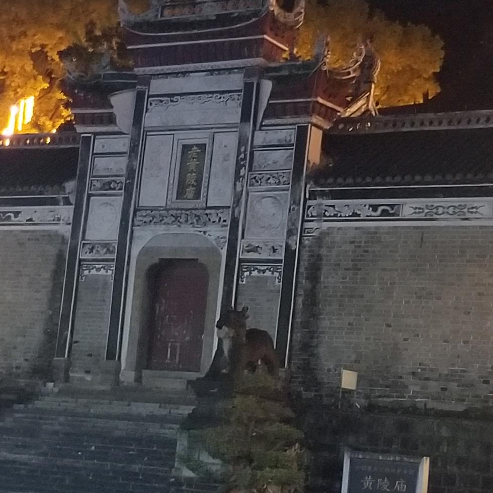 霸奇活魚馆杨老板