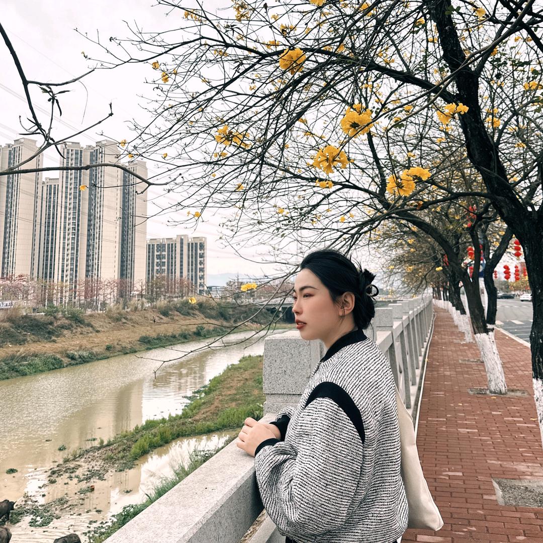 向日葵老师教方法