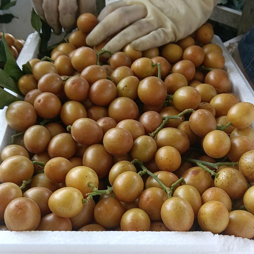 细水长流