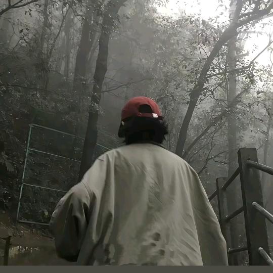 Lz