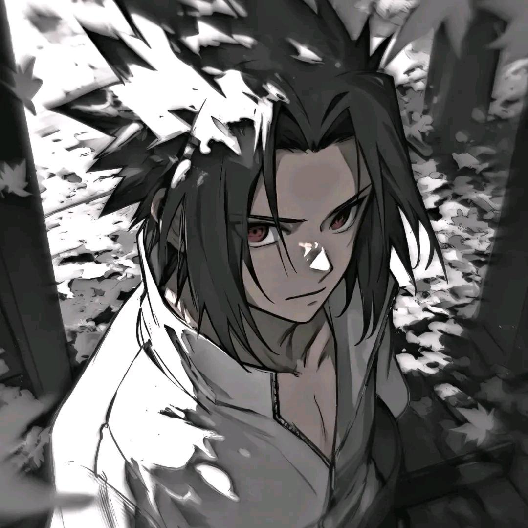 戴郡主