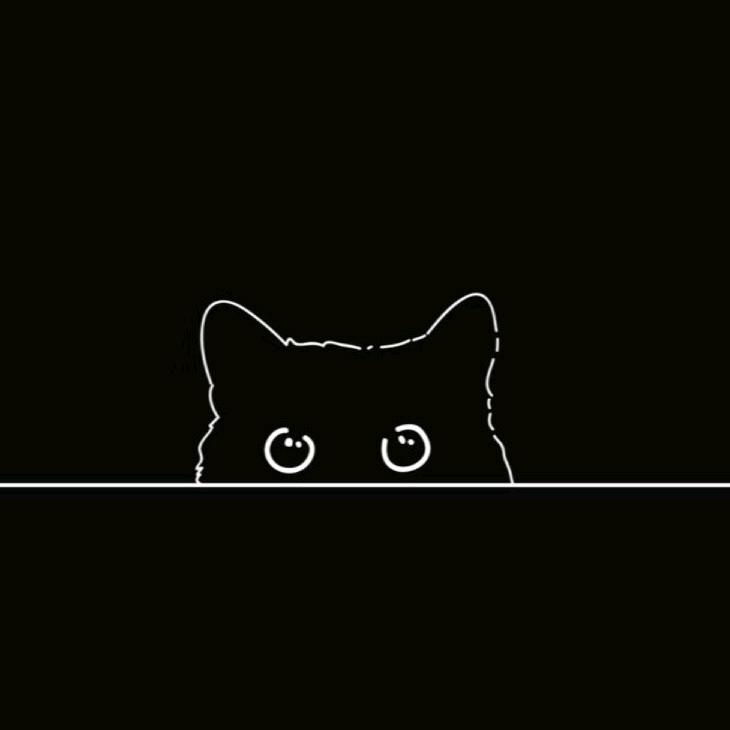 小米之家安庆光彩四期店