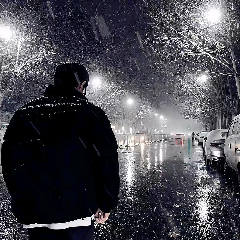 流浪猫（金融）