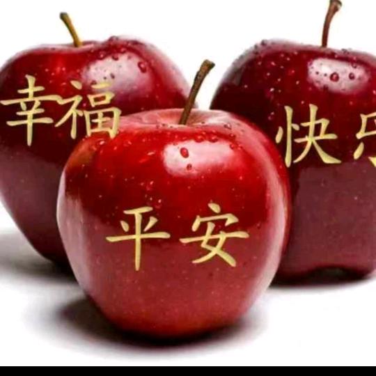 维也纳
