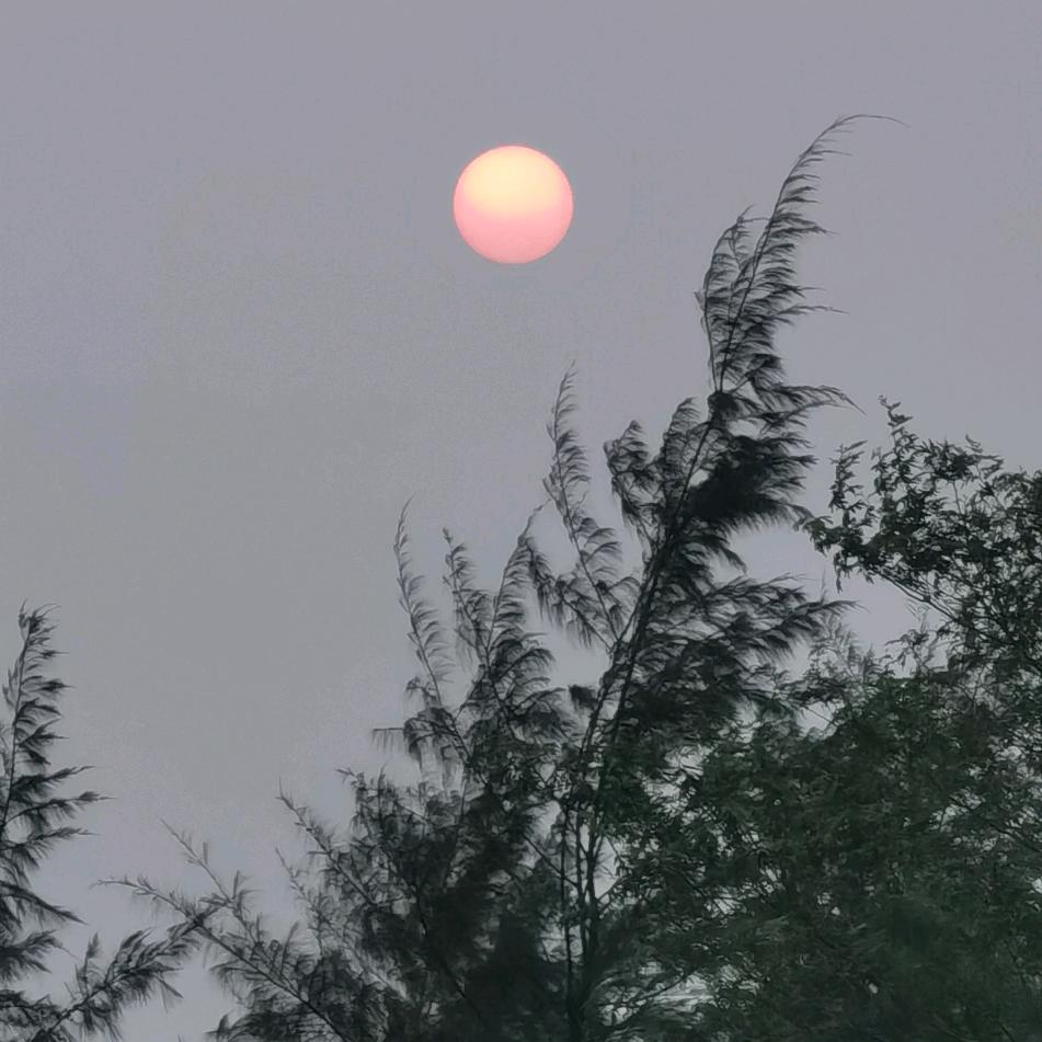 海岛乐翻天