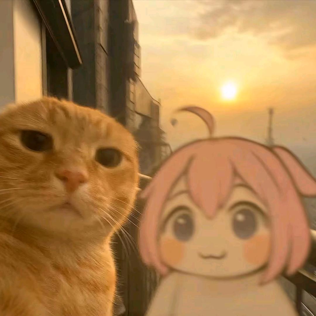 十八