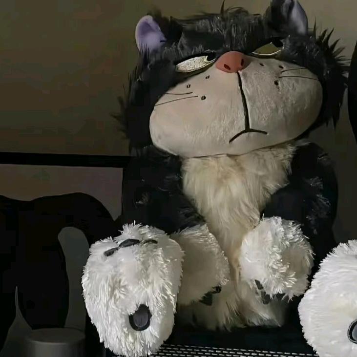 八云家的猫