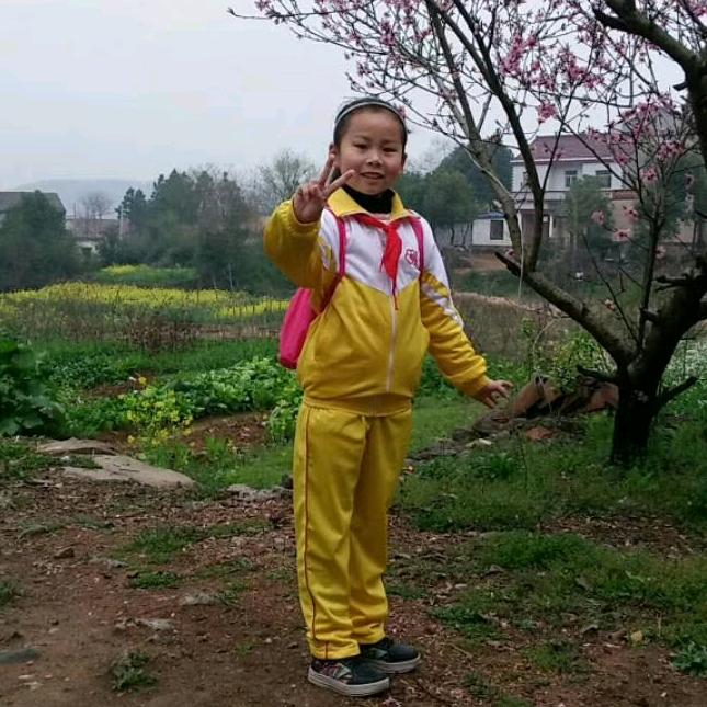 绿色背影