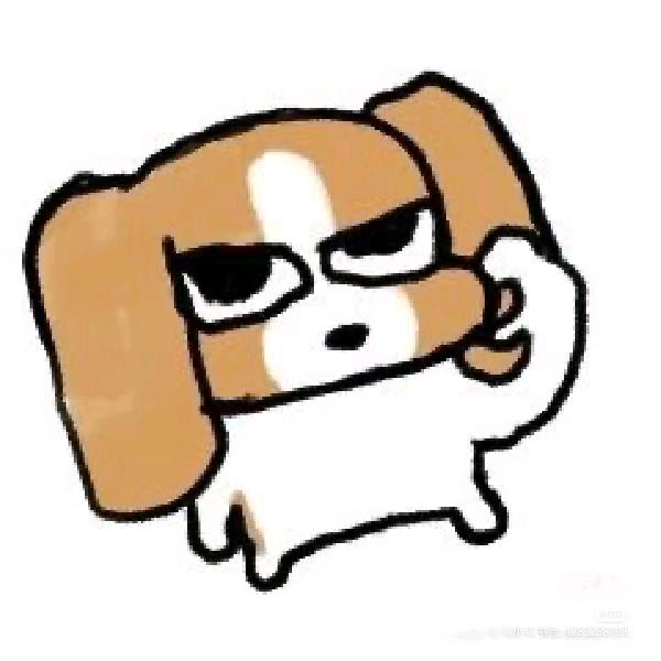 讨厌阳光