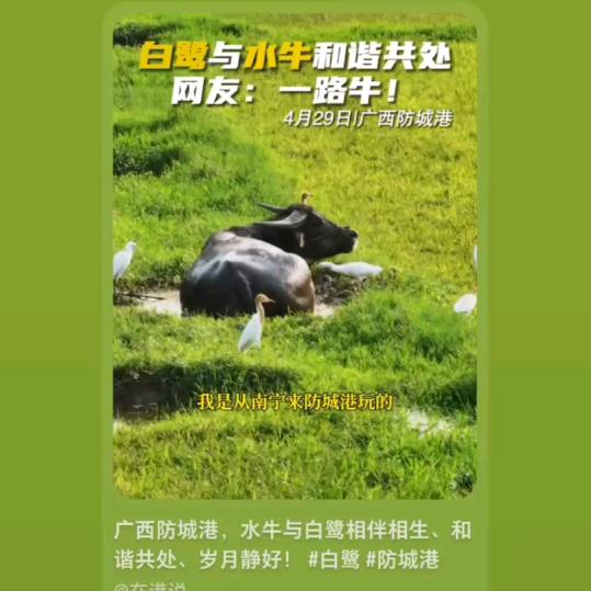 忆苦思甜