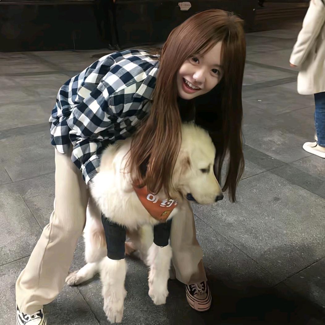 月下花影（橱窗有好物）