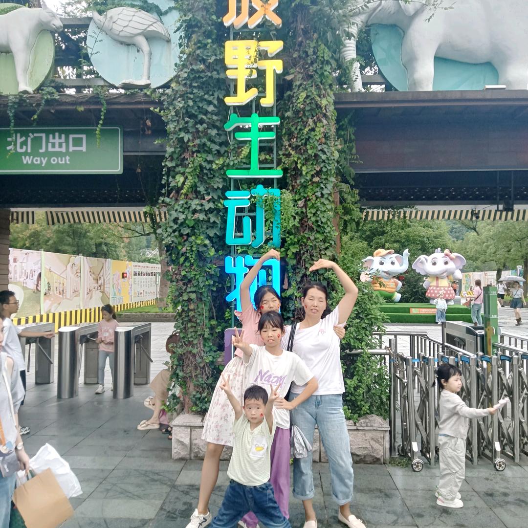 学会伪装