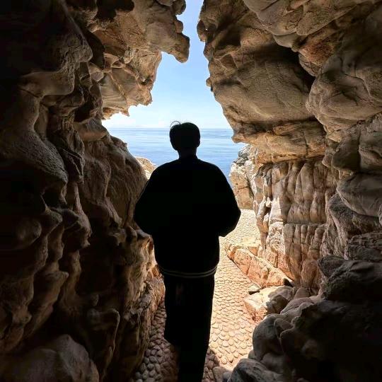 杰琪便利咚咚直播号