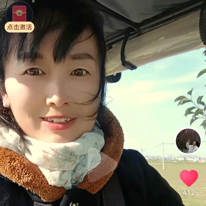 淮阳菊子