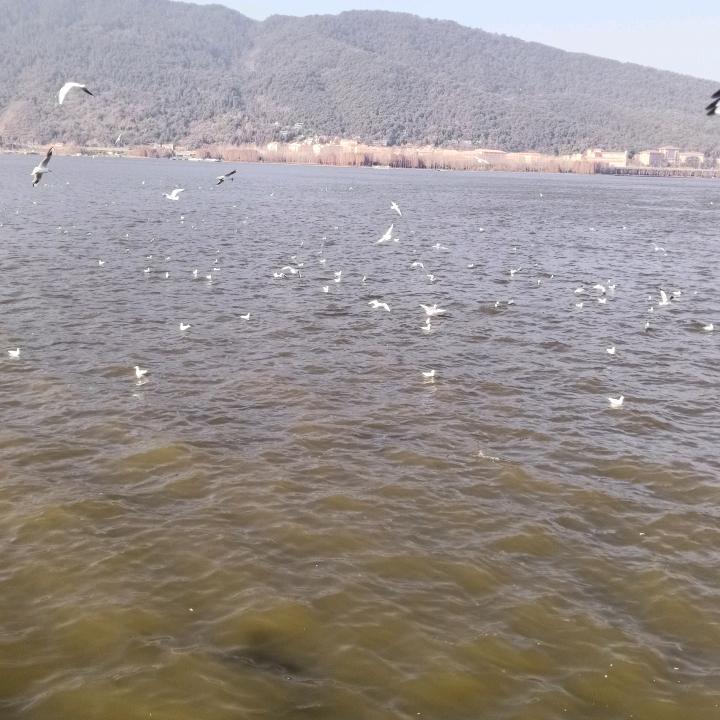 输入密码…………