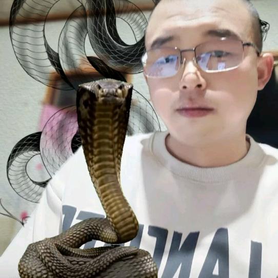 一帆风顺