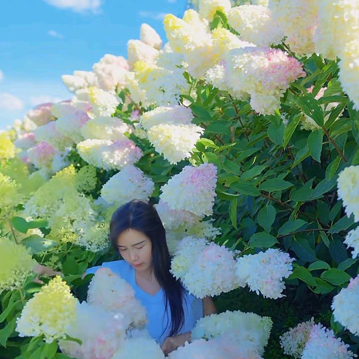 依恋手工玫瑰