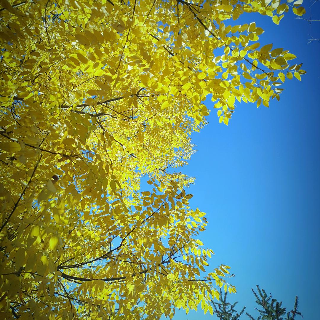 高起专专升本海老师