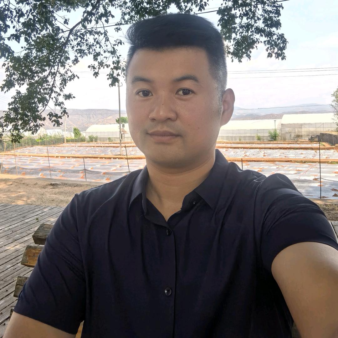 天津科润津冬系列黄瓜种苗
