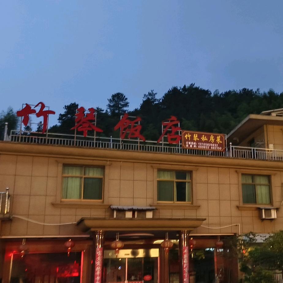 竹之琴