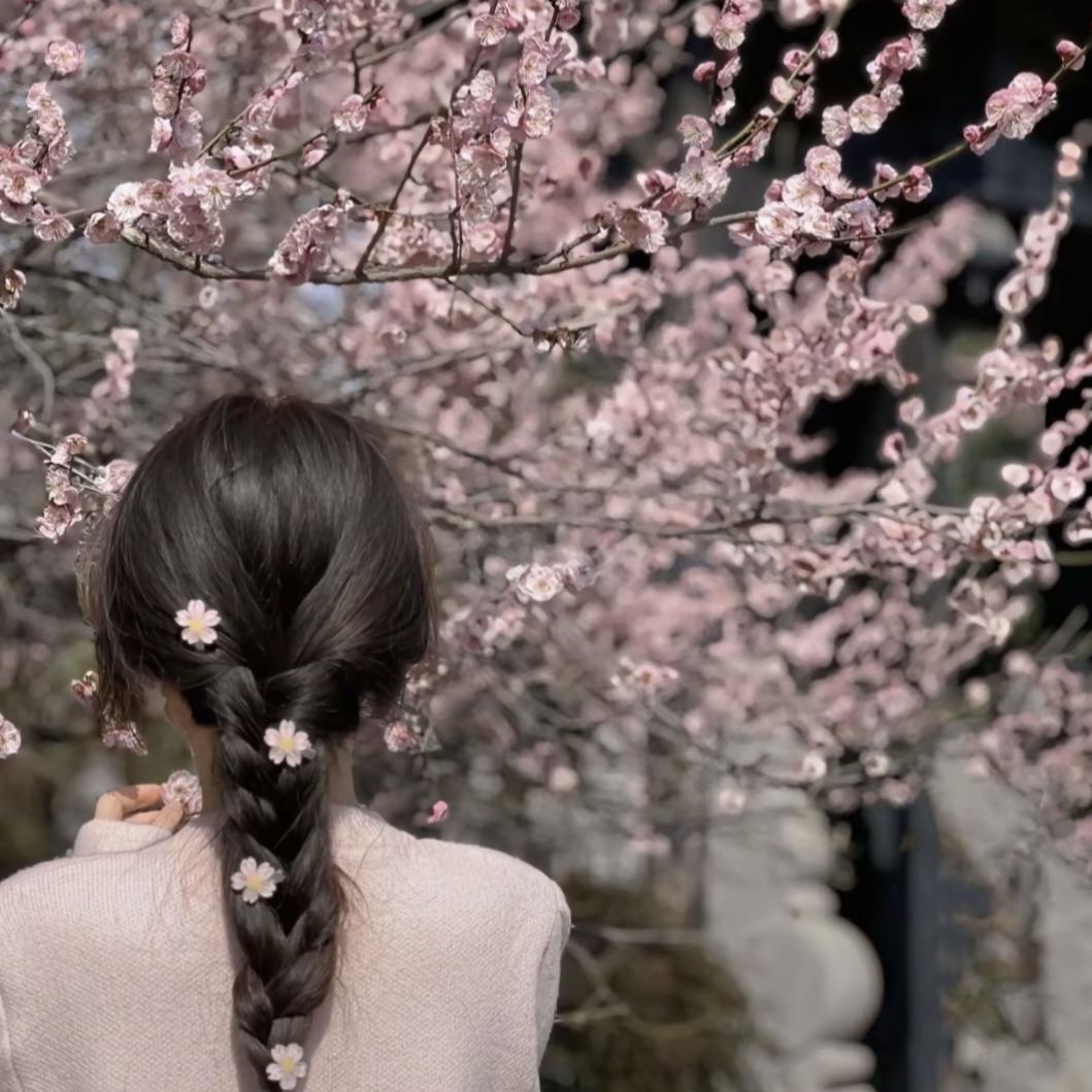 ：🌺 一切꧔ꦿ᭄💞随缘