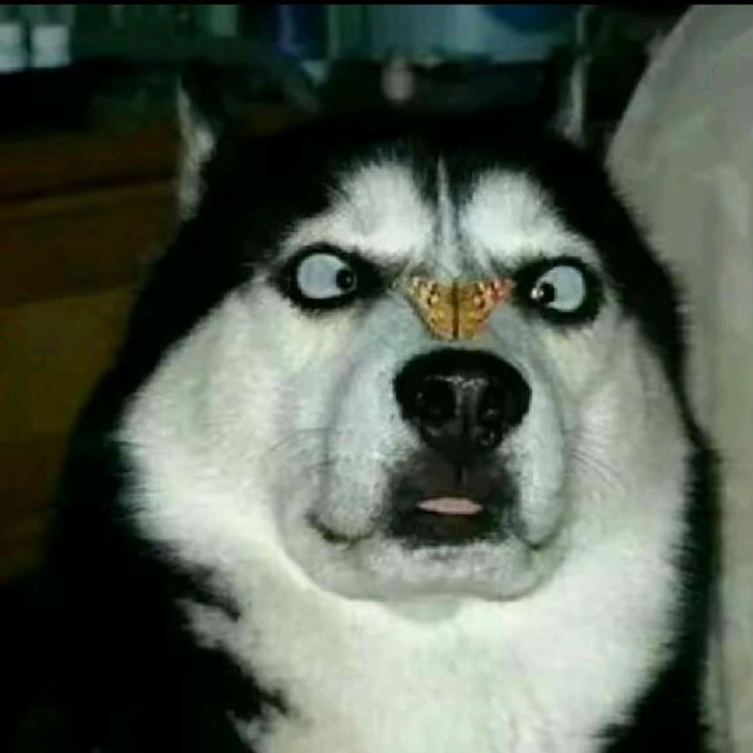 搭几咯东四路cell呆呆几