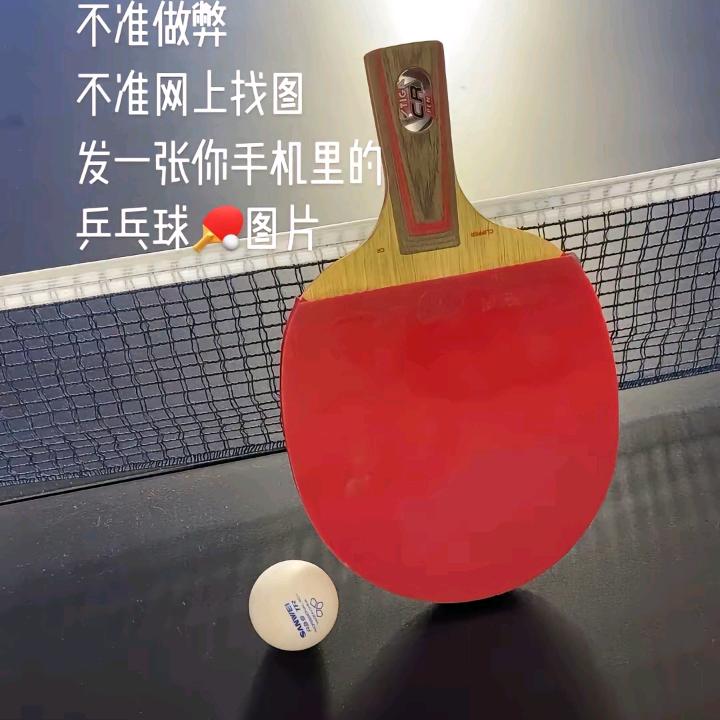 刘姐爱乒乓