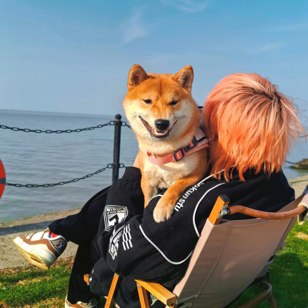 Anson.安安安安安安安安安森🇹🇭