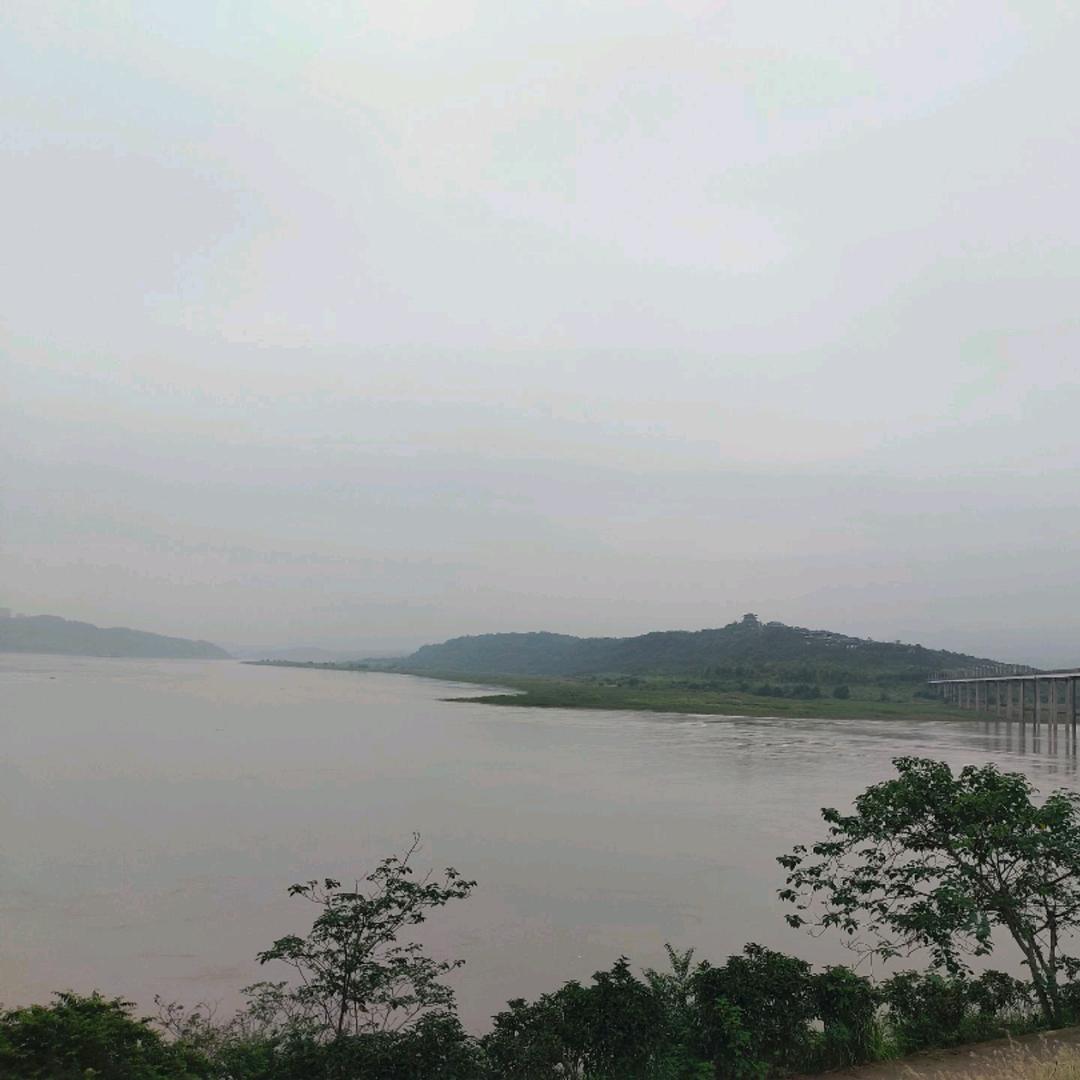 清杨