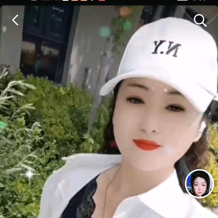 少琴
