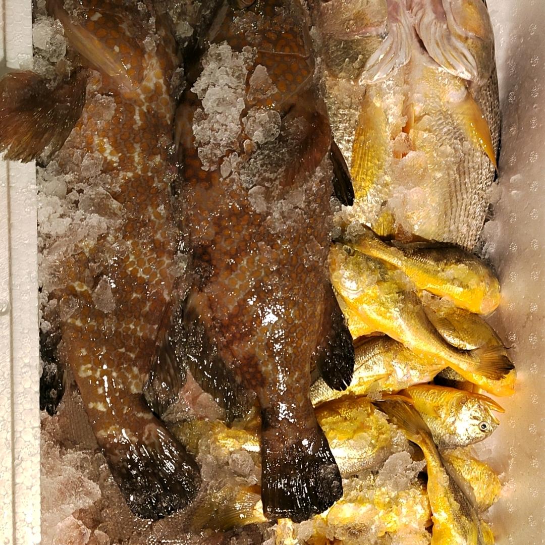 人生若只如初见，何事秋风悲画扇