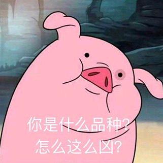 哈哈头像