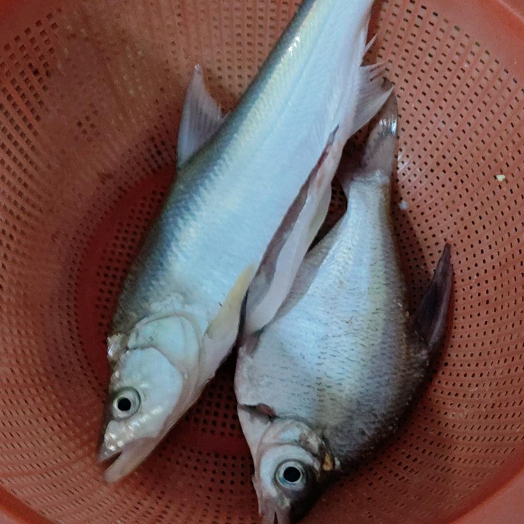 钓鱼兄弟👿👿👿