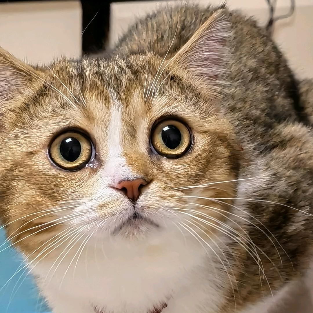 o0萌宝0o