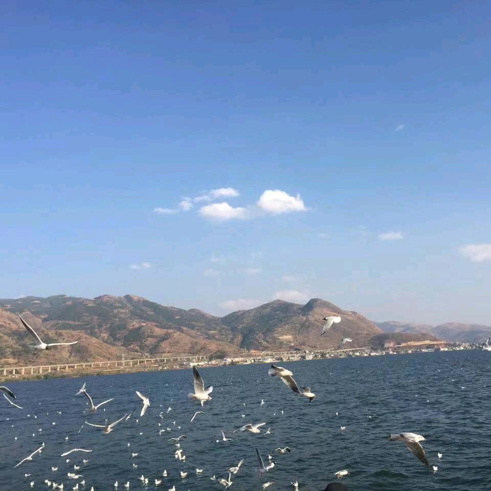 让生活更美好