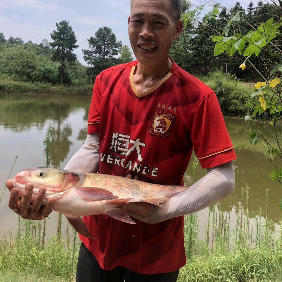 秋叔在农村