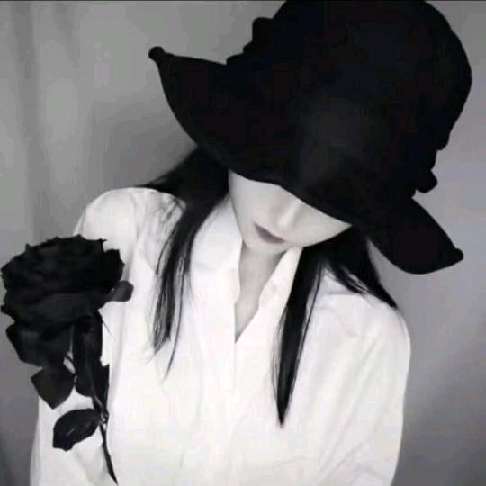 ☾⋆᭄✨孤独的小野猫☾⋆᭄
