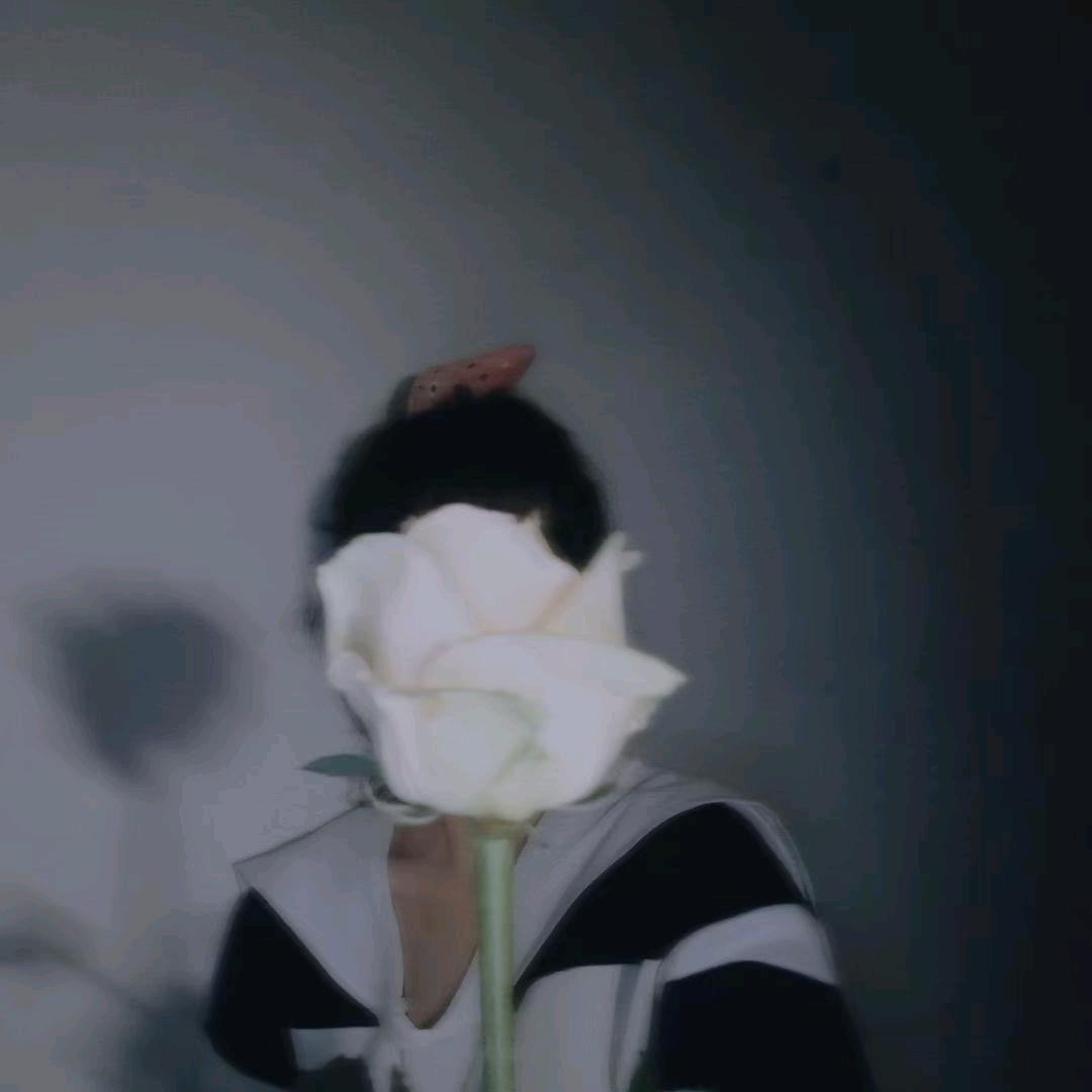 白白小黑和小灰