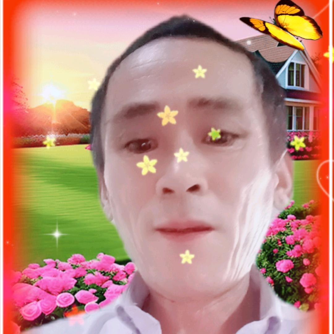 杨景月