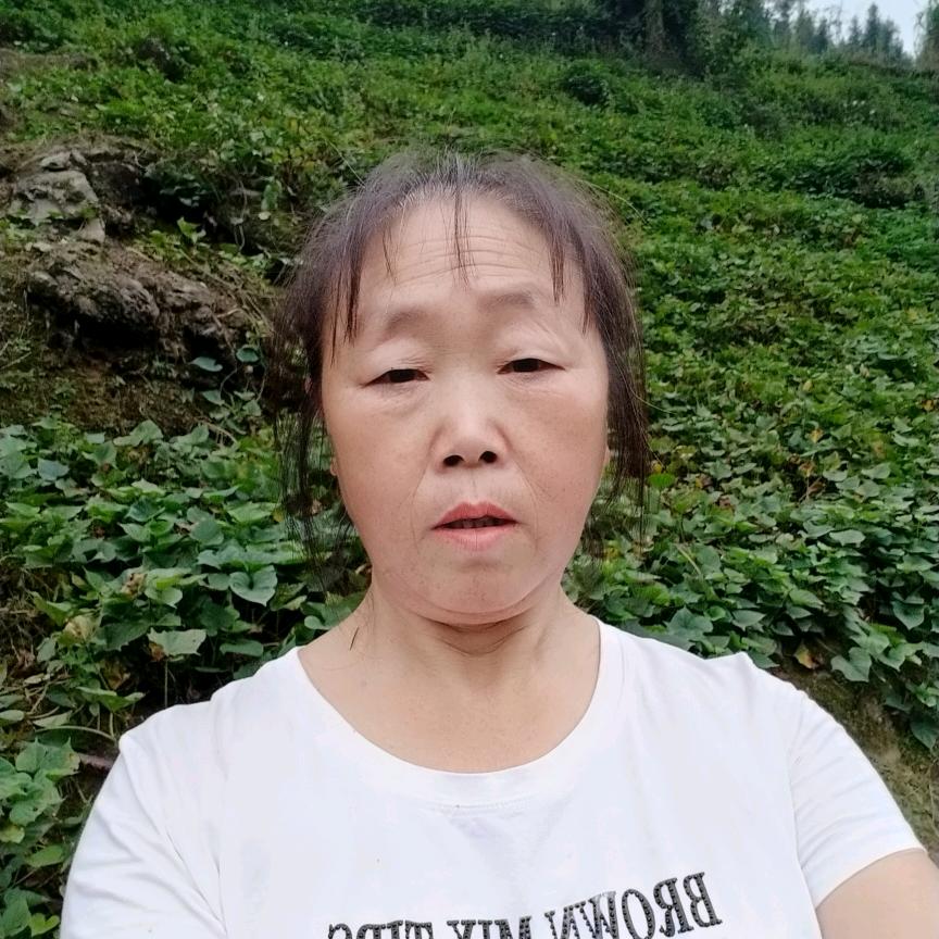 叶三姐大号