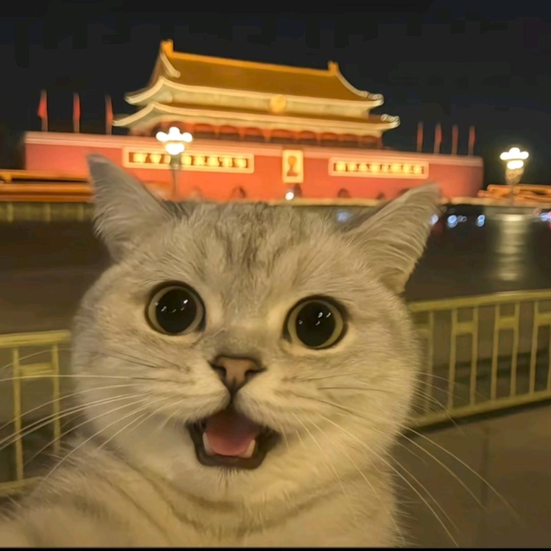 人间小北北