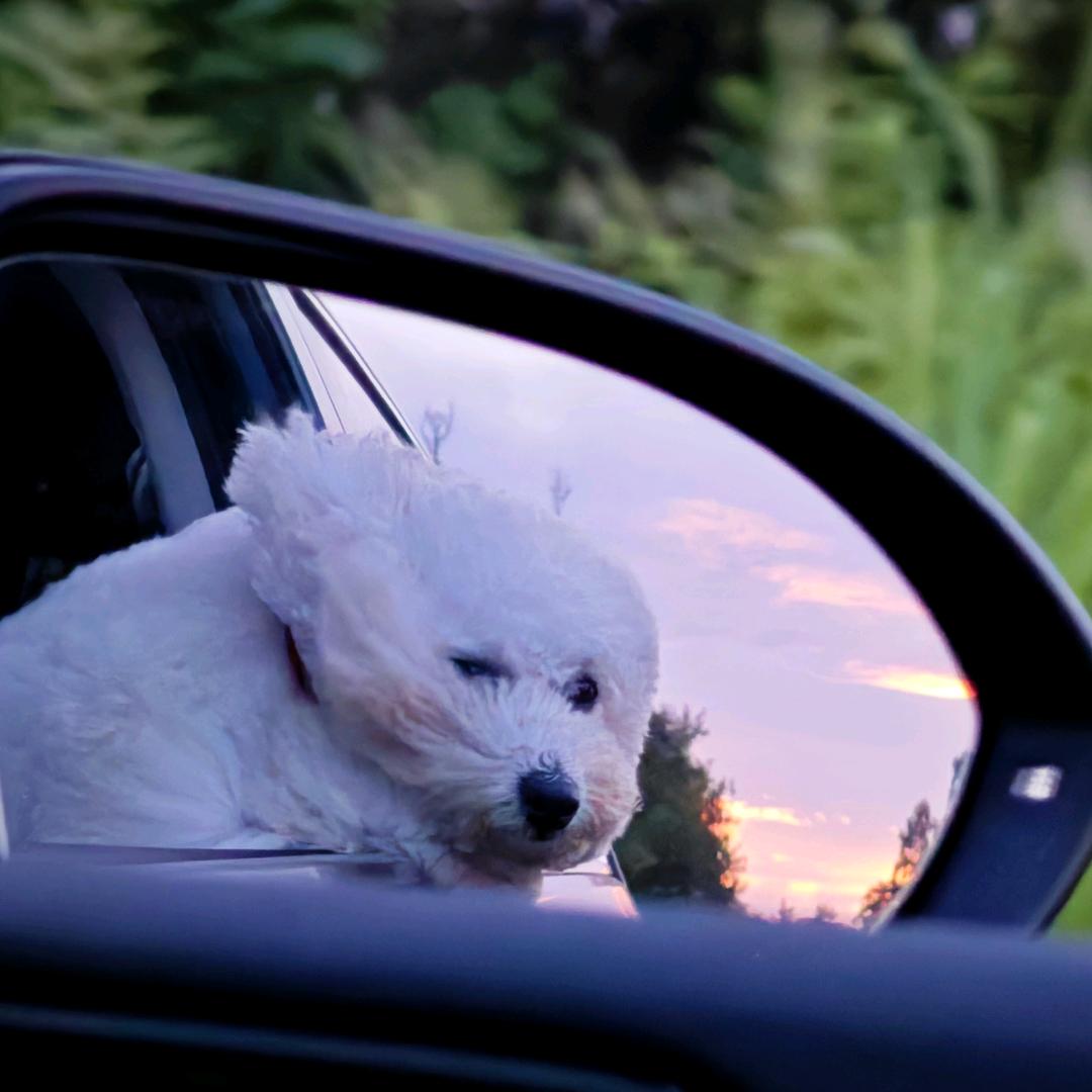 八.九.不离食🌝