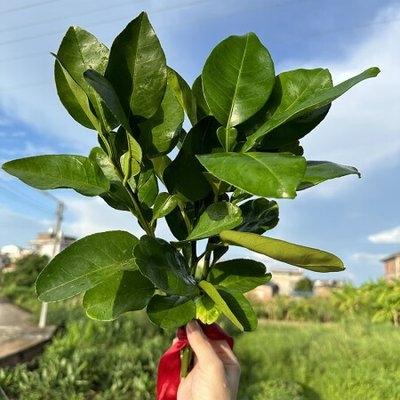 曦婷🥰